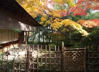 紅松庵の写真・動画_image_16956