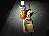 東尋坊の写真・動画_image_19209