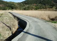 島田渡船の写真・動画_image_21308