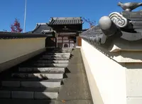 いきなり芝生公園に出たの写真・動画_image_21722