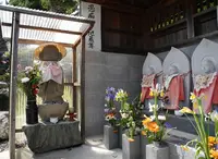 天龍寺の写真・動画_image_26103
