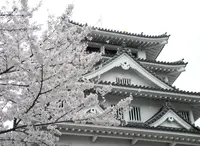墨俣桜まつりの写真・動画_image_27048