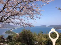 天橋立ビューランドの写真・動画_image_27502