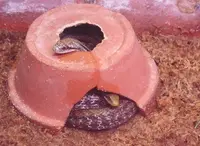 八木山動物公園フジサキの杜の写真・動画_image_44043