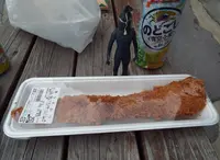 カミンの写真・動画_image_46733