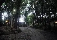 代々木八幡宮の写真・動画_image_52575