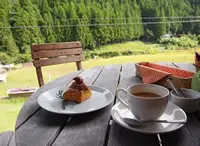 かんじゃの写真・動画_image_58070