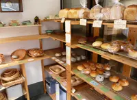 こせちゃの写真・動画_image_69896