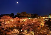 菊池公園の写真・動画_image_70002