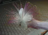 茶里亭の写真・動画_image_73077
