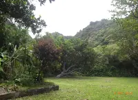 小笠原海洋センターの写真・動画_image_73080