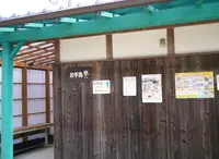 花のじゅうたんの写真・動画_image_74231