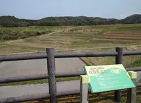 大笹波水田の写真・動画_image_78909