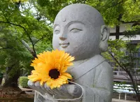 功山寺の写真・動画_image_89614