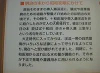 奥入瀬渓流　　の写真・動画_image_90647