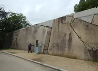 大阪城公園の写真・動画_image_94937