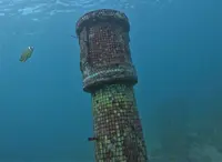 浮潛秘境の写真・動画_image_1231685