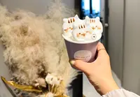 HATCOFFEE STANDの写真・動画_image_1468920