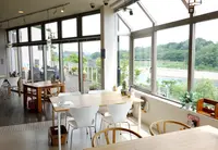 グリーントゥモローの写真・動画_image_155511