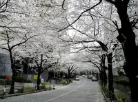 アークヒルズの写真・動画_image_171386