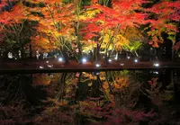 曽木公園の写真・動画_image_203713