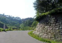 春日山城跡の写真・動画_image_228587