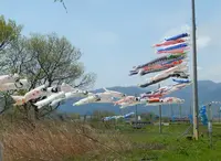 松ノ木内湖の写真・動画_image_235586