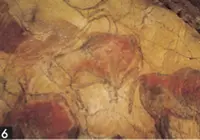 アルタミラ洞窟の写真・動画_image_568940