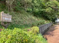 夕潮台公園の写真・動画_image_913066