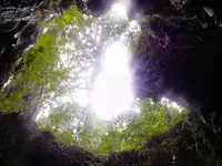 縄文杉の写真・動画_image_19447