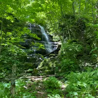 奥入瀬渓流　　の写真・動画_image_670979