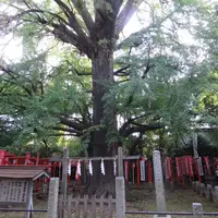 鬼子母神堂の写真・動画_image_69950
