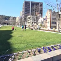みなと大通り公園の写真・動画_image_128953