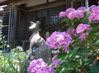 極楽寺の写真・動画_image_131981