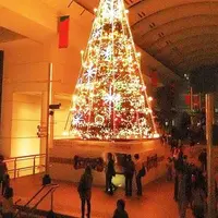クイーンズタワーの写真・動画_image_209312