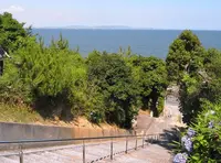 影現寺の写真・動画_image_25824