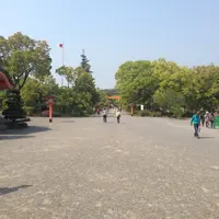 宇佐神宮の写真・動画_image_27281