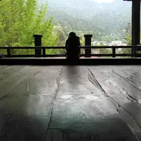 豊国神社（千畳閣）の写真・動画_image_30299