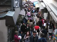 江の島の写真・動画_image_37591
