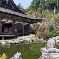 善水寺の写真・動画_image_1243966