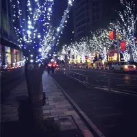 六本木けやき坂通りの写真・動画_image_210374