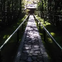 高桐院の写真・動画_image_233100