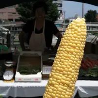 高崎駅観光案内所の写真・動画_image_37040