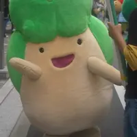 四條畷市の写真・動画_image_150336