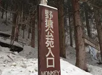 地獄谷野猿公苑の写真・動画_image_19428