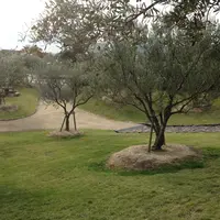 道の駅 小豆島オリーブ公園の写真・動画_image_21982