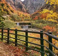 称名平休憩所・称名滝展示館の写真・動画_image_1177672