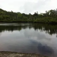 七ツ池の写真・動画_image_138689