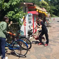 八幡山公園の写真・動画_image_36178