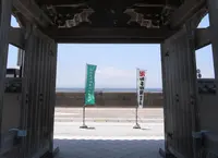 野間大坊の写真・動画_image_58152